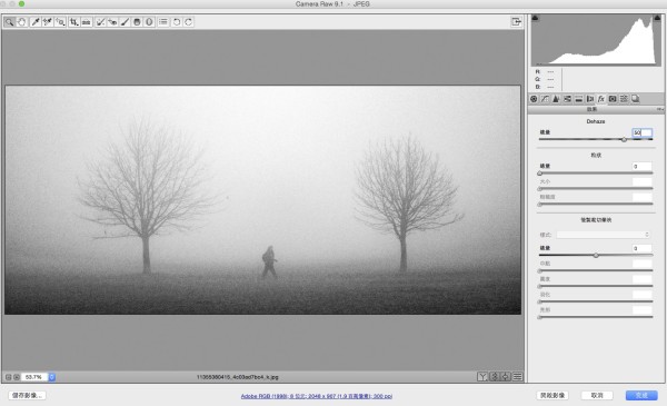Adobe Photoshop CC Dehaze