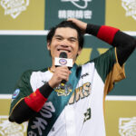 全站總覽