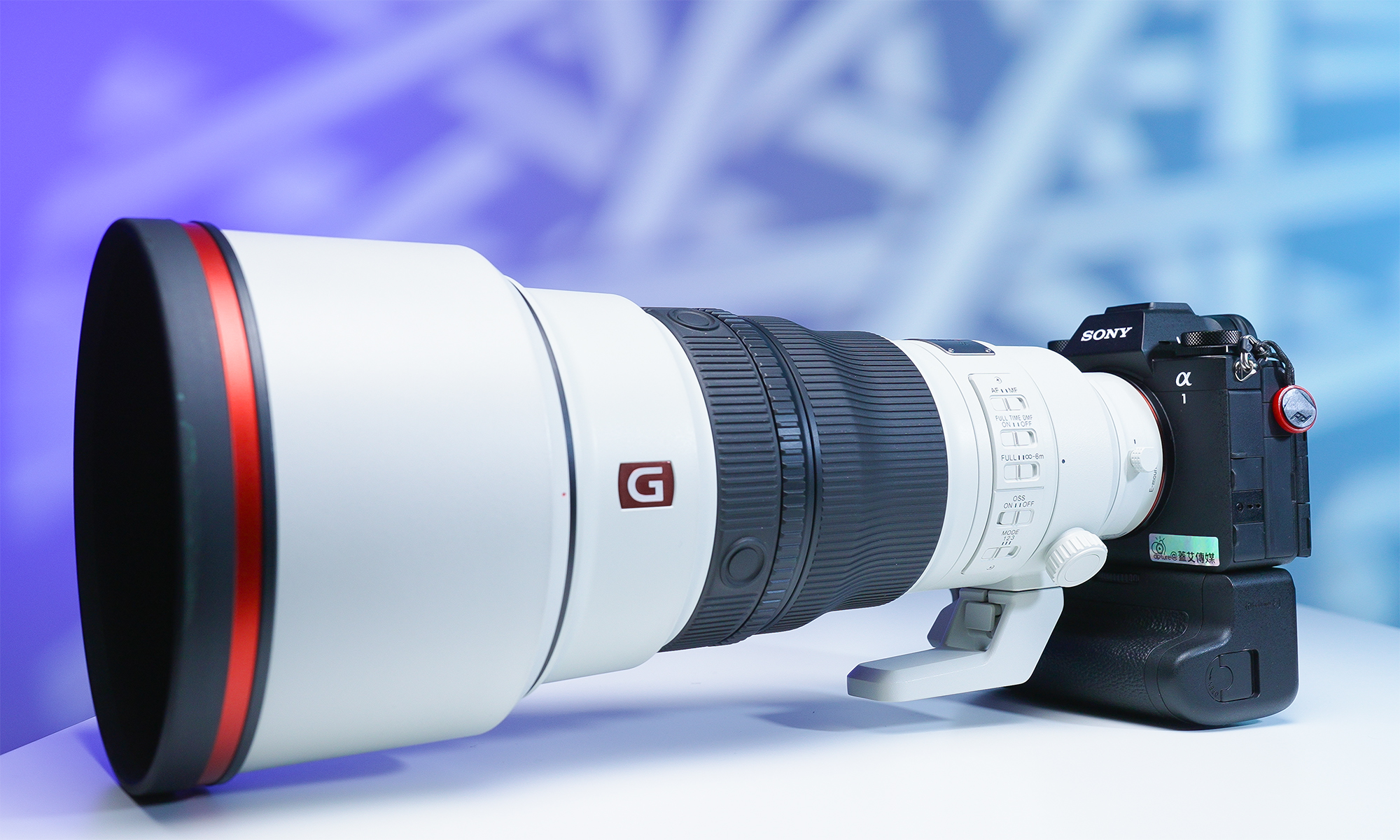 Sony a1 II+FE 300mm f/2.8 GM OSS