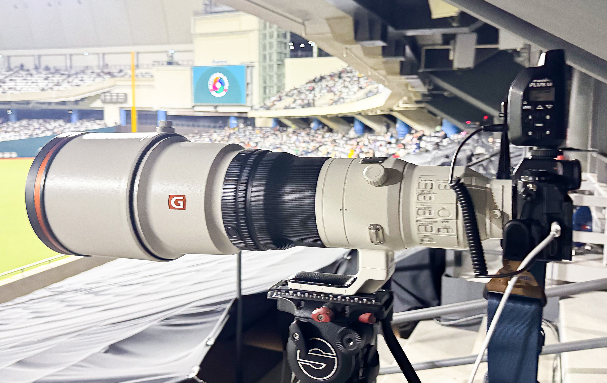 Sony a1 II+FE 600 mm F4 GM OSS