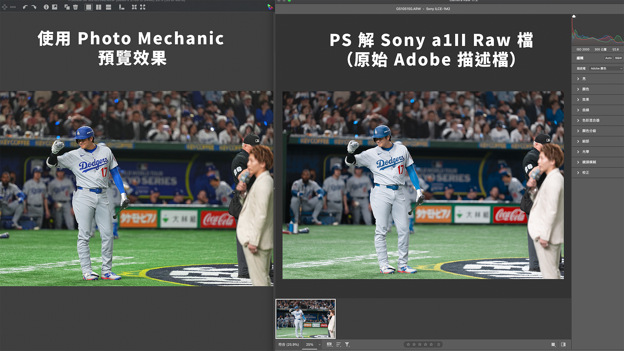 使用 Photoshop 或 Lightroom 原始 Adobe 色彩描述檔無法呈現正確顏色