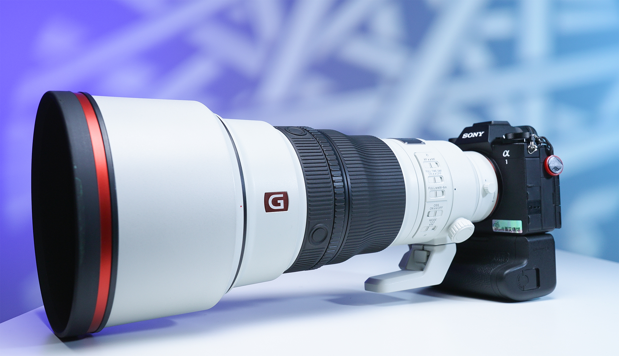 Sony a1 II+FE 300mm f/2.8 GM OSS