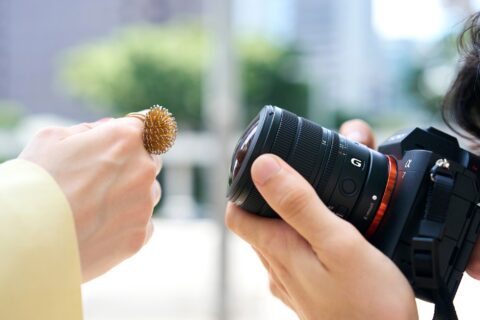 Sony 首款 E 接環魚眼變焦鏡頭 FE 8-14mm，9 月 22 台灣開賣